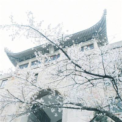 激斗三国卡牌官方版