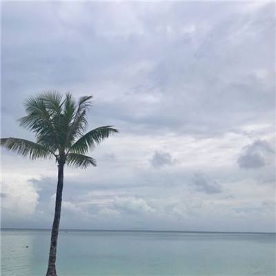 葫芦侠3楼历史版本下载