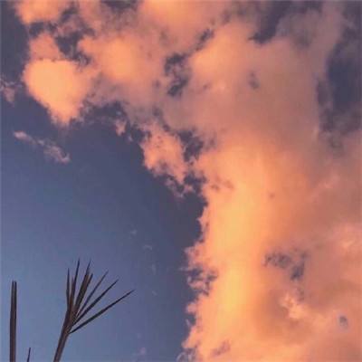 终极野狗模拟器中文手机版下载