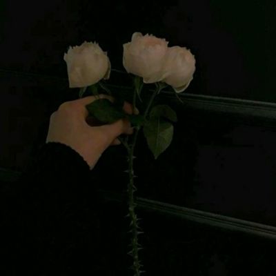 末世王者内购破解版下载